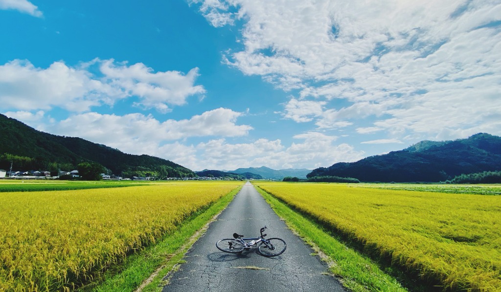 丹波篠山の広大な田園風景